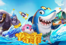 球速体育welcome正式版